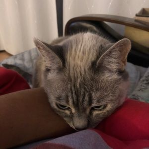 Meet your Posher, James